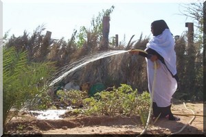 Abitilah : quitter la ville pour les contrées désertiques [Vidéo]