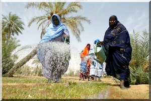  La Mauritanie veut développer son agriculture dans la vallée