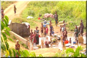  Mauritanie-FAO : 2,5 millions de dollars pour appuyer l’agriculture