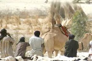Mauritanie : le gouvernement annonce avoir mis en place un programme pour aider les éleveurs
