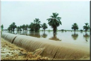 Wali de l'Adrar : 