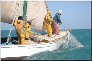  Crise du poisson : Encore un stock en souffrance 