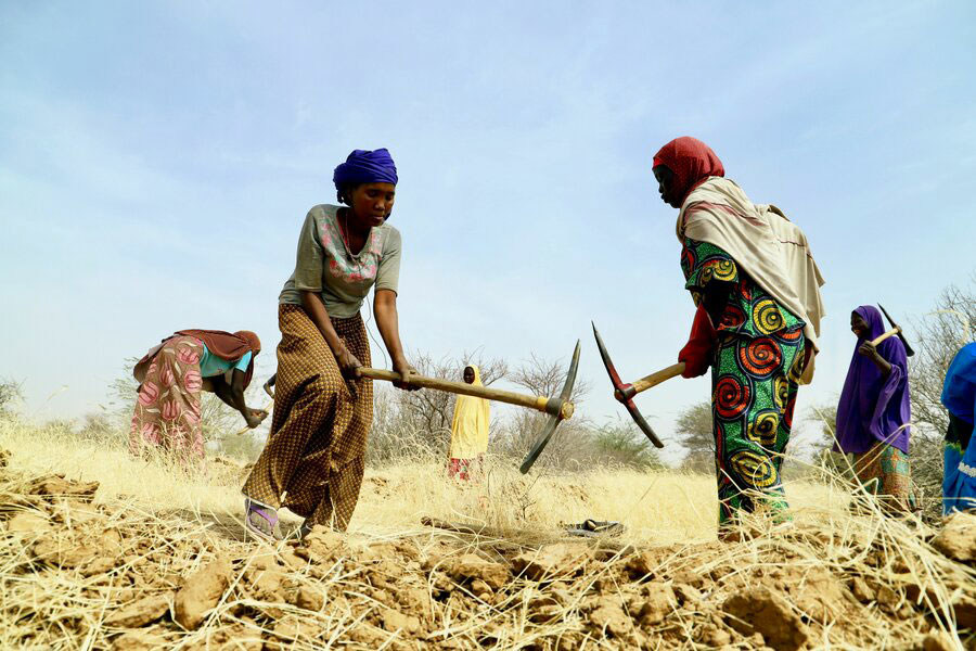 Afrique de l'Ouest : des millions de personnes privées d'aide face à une crise de la faim sans précédent (PAM)