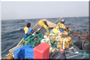 Pêche : le ministère de tutelle a réaffirmé que les pêcheurs artisanaux ont souscrit au paiement de la nouvelle taxe