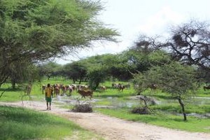 Le Waalo : la beauté de l’instant [PhotoReportage]