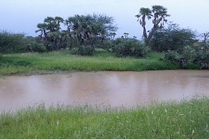 Assaba : 3 enfants se noient dans le marigot de Kankossa