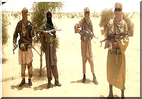 Un jeune Franco-Congolais arrêté au Niger alors qu’il cherchait à rejoindre Aqmi.  