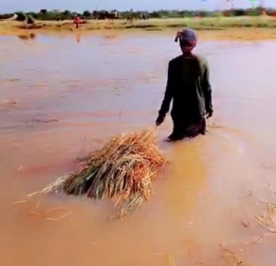 Chintiane Diama, Mboyoo et Héraaline appellent au secours - Lettre ouverte au Président de la République
