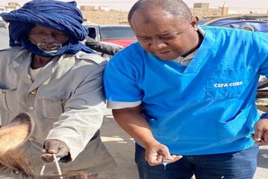 Sauver l'animal/COVID-19