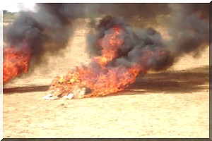 Mauritanie-Boghé : Un feu de brousse ravage une vaste zone pastorale. 