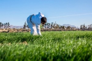 L'agriculture intelligente face aux changements climatiques est essentielle pour soutenir la croissance à long terme des pays du Proche-Orient et de l'Afrique du Nord