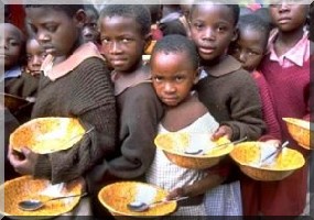 Crise alimentaire au Sahel: Les ONG s'alarment du manque de financement . 