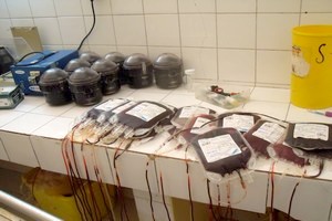 Les mauritaniens seraient de mauvais donneurs de sang !