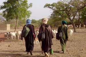 Sénégal-Mauritanie-Elevage : vers le démarrage d’un projet de développement durable du pastoralisme au sahel