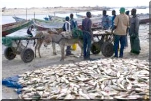 Fin de l'accord de pêche entre la Mauritanie et l'Union européenne