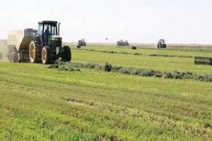 Mauritanie : le gouvernement va investir 5 milliards MRO pour le financement de projets agricoles au Trarza