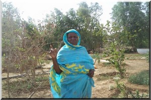 Sans appui, elle reste déterminée à combattre l’insécurité alimentaire au Guidimakha
