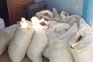 Vidéo. Kobeni: la police saisit une grosse  quantité de drogue 