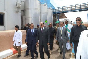 Mauritanie : la SMPL a du mal à s’approvisionner en lait local (Ould El Ghailany)