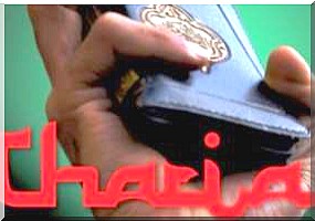 Charia et États de droit en Afrique.  