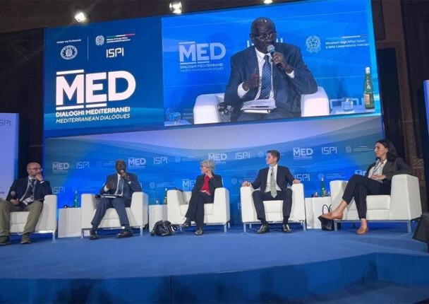 Le ministre des Affaires étrangères présente une analyse des menaces émergentes en Afrique du Nord, au Sahel et en Afrique de l’Ouest