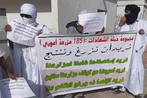 Mauritanie: manifestation des agriculteurs