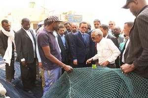 Mauritanie : les pêcheurs artisanaux demandent le renforcement de la sécurité en mer