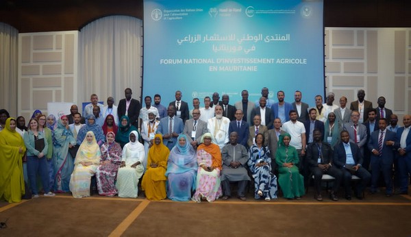 La FAO et l’APIM joignent leurs expertises pour orienter l’investissement de cinq filières prioritaires à fort impact en Mauritanie