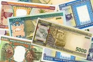 Mauritanie : Deux mois de salaires impayés pour les employés de l'imprimerie nationale 