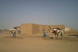 Oum Lahyath : Les eleveurs mécontents rejettent la proposition du maire et… (exclusif ) 