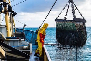 Renouvellement de l’accord de pêche entre la Mauritanie et l’union européenne pour une période de 5 ans