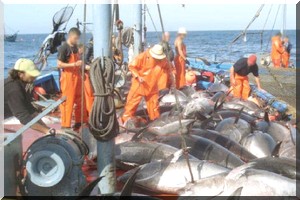  Mauritanie/UE : un accord de pêche va rapporter 59,125 millions d’euros par an à la Mauritanie