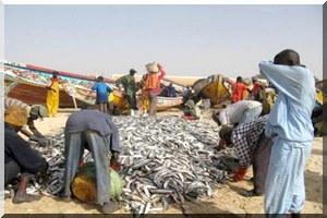 Mauritanie: six pêcheurs mauritaniens, disparus en mer