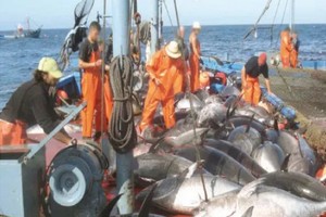 Accord de pêche : quand le Maroc, la Mauritanie et le Sénégal négocient séparément avec l’Europe des 27