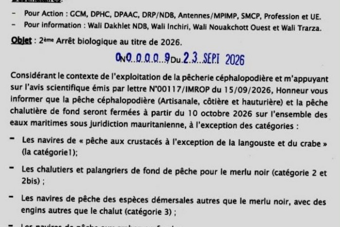 Pêche céphalopodière artisanale et hauturière, un arrêt biologique fixé au 10 octobre 2026