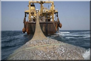 Algérie - Mauritanie : échange d’expertise dans le domaine de la pêche    16/10/2016