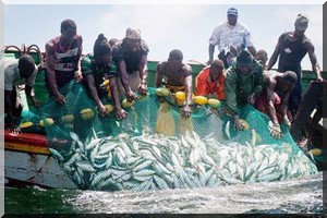 Le ministre sénégalais des pêches dément l’expulsion de Nouakchott des pêcheurs de Guet-Ndar