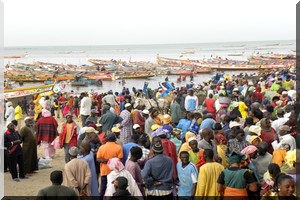  La commission régionale des crédits valide un prêt de 30 millions au profit de pêcheurs professionnels