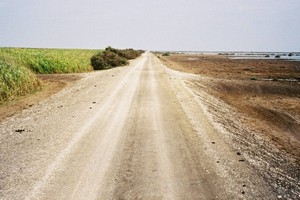 Les politiques et programmes nationaux du département agricole apportent déjà leurs fruits 