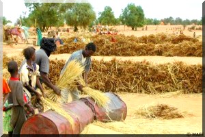 La Mauritanie se révolte contre le désastre agricole de la sécheresse