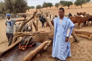 Le Covid-19 et la problématique de l’eau en Mauritanie